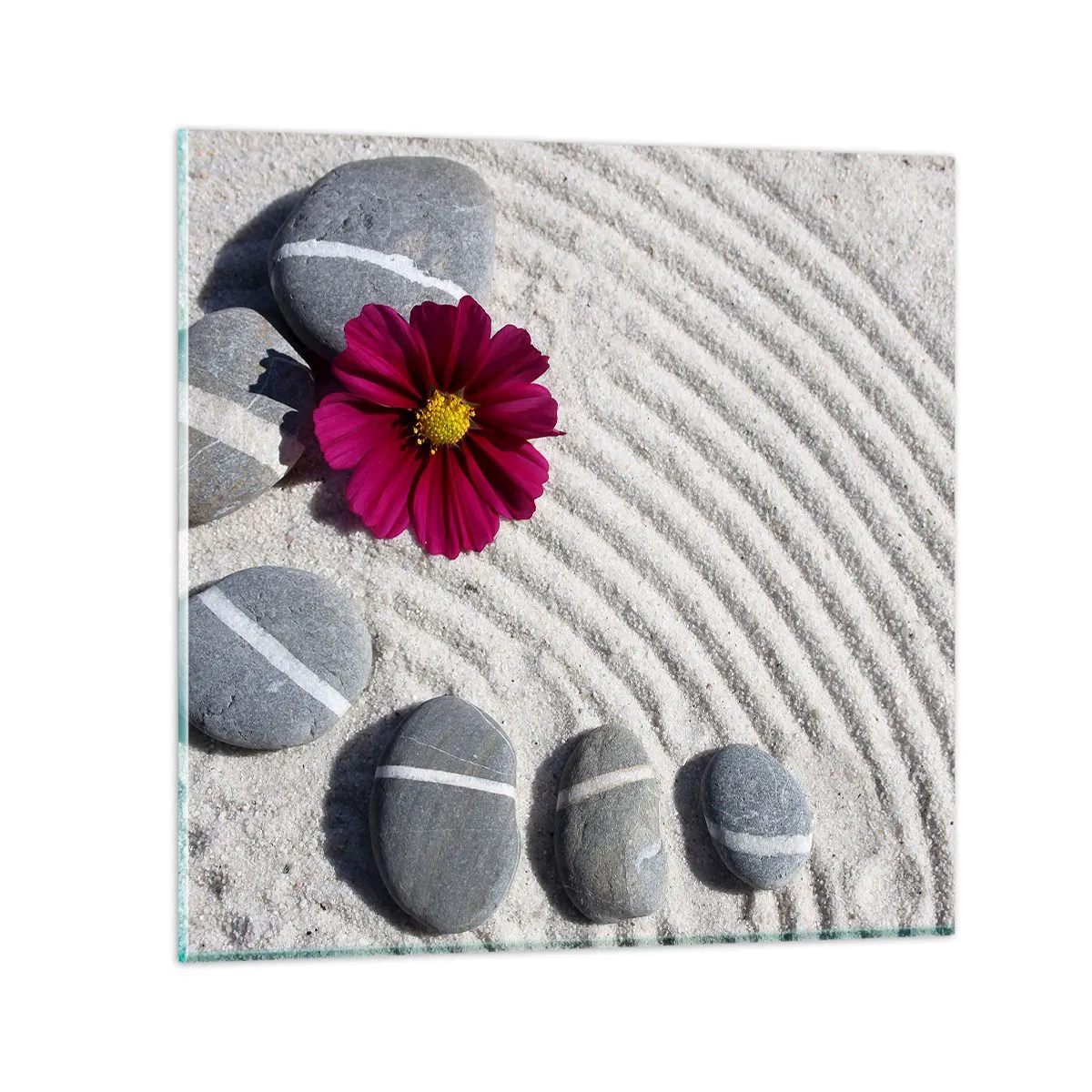 Obraz na skle - Energie a klid magického kruhu přírody - 60x60 cm