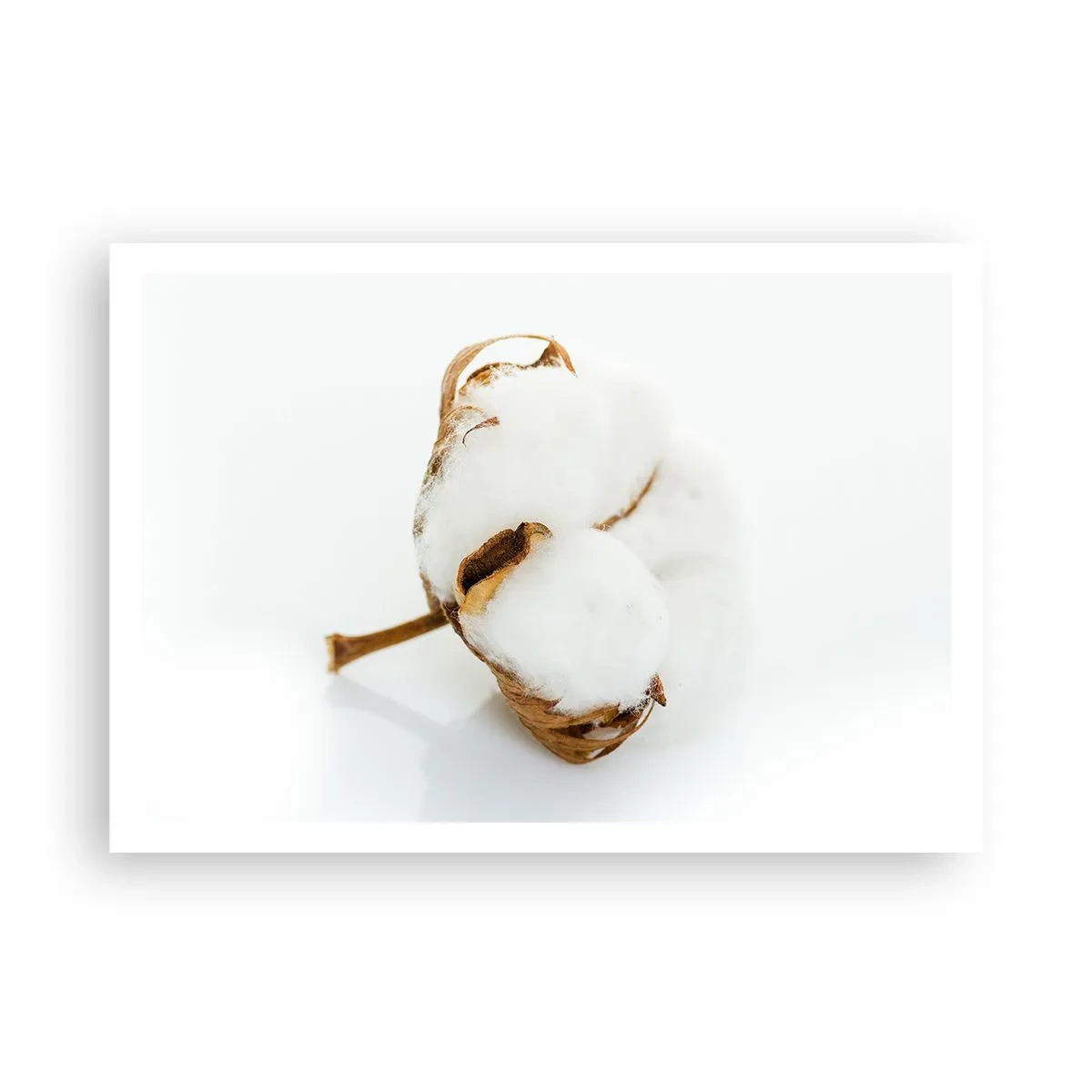 Plakát - Měkká od přírody - 100x70 cm