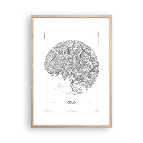 Plakát v rámu světlý dub - Anatomie Osla - 50x70 cm