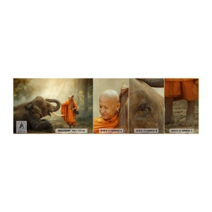 Vzor Fototapety Premium Sand - Setkání na cestách - Asie, Slon, Mnich - 100x30 cm