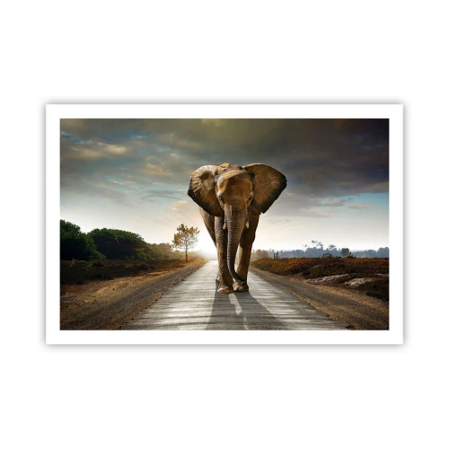 Plakát - A vůbec ne ve skladu porcelánu - 91x61 cm