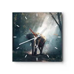 Nástěnné hodiny - Klidná procházka - 40x40 cm