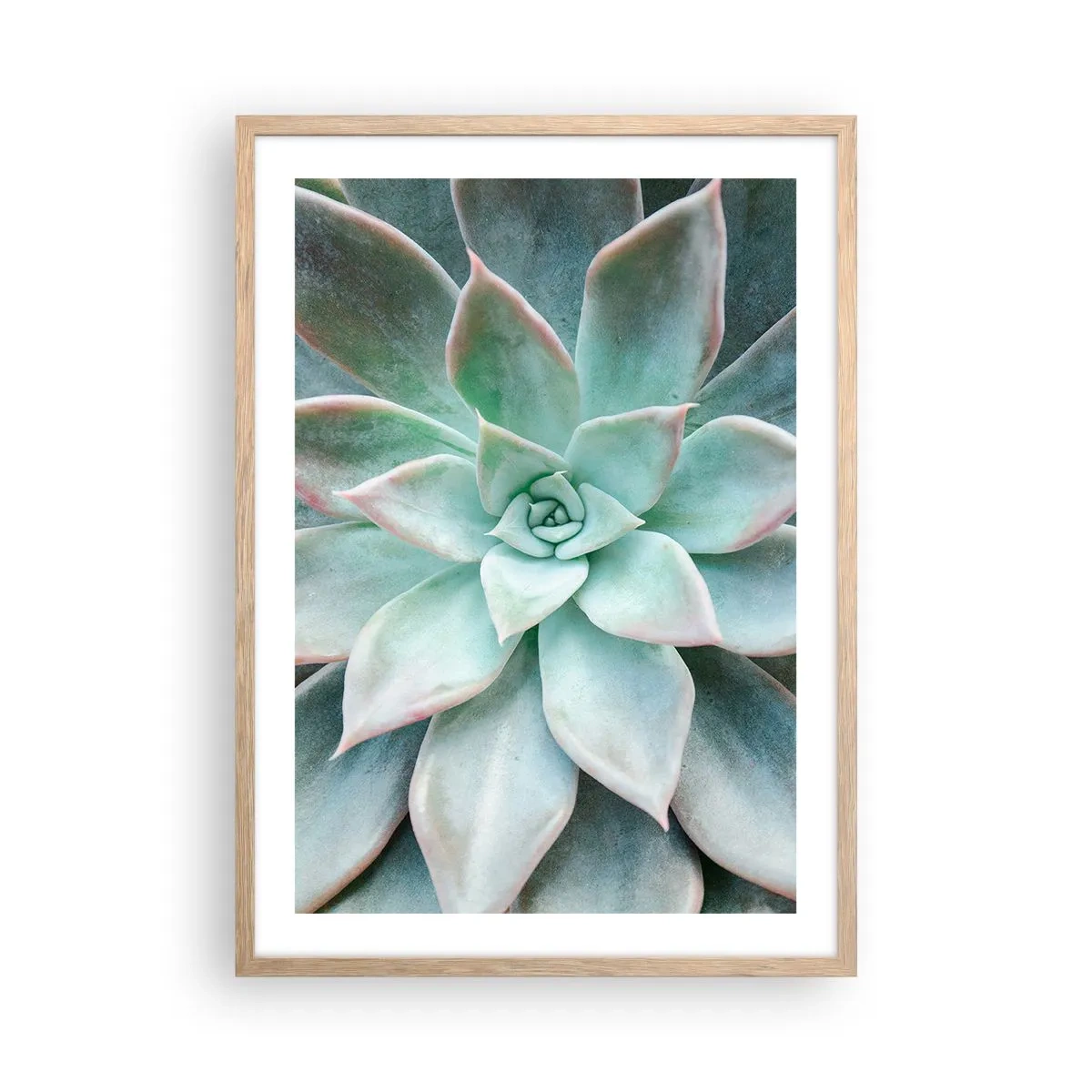 Plakát v rámu světlý dub - Srdce pouště - 50x70 cm