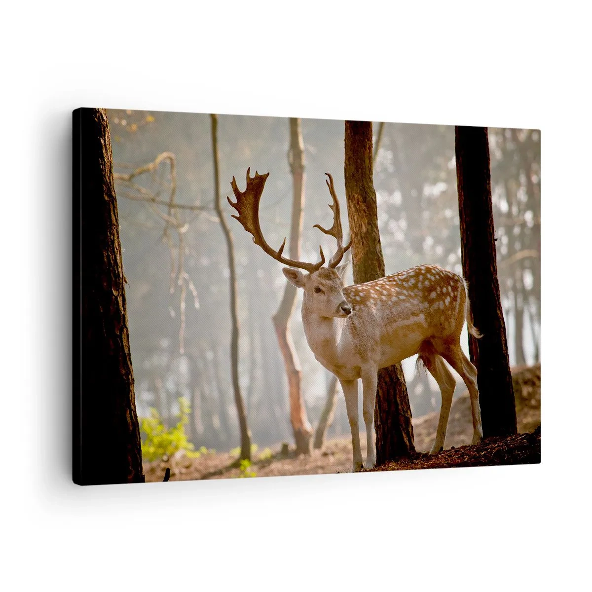 Obraz na plátně - Jelen v lese v ranní mlze - 70x50cm - Světlo mládí - Moderní nástěnná dekorace do obývacího pokoje a ložnice ARTTOR