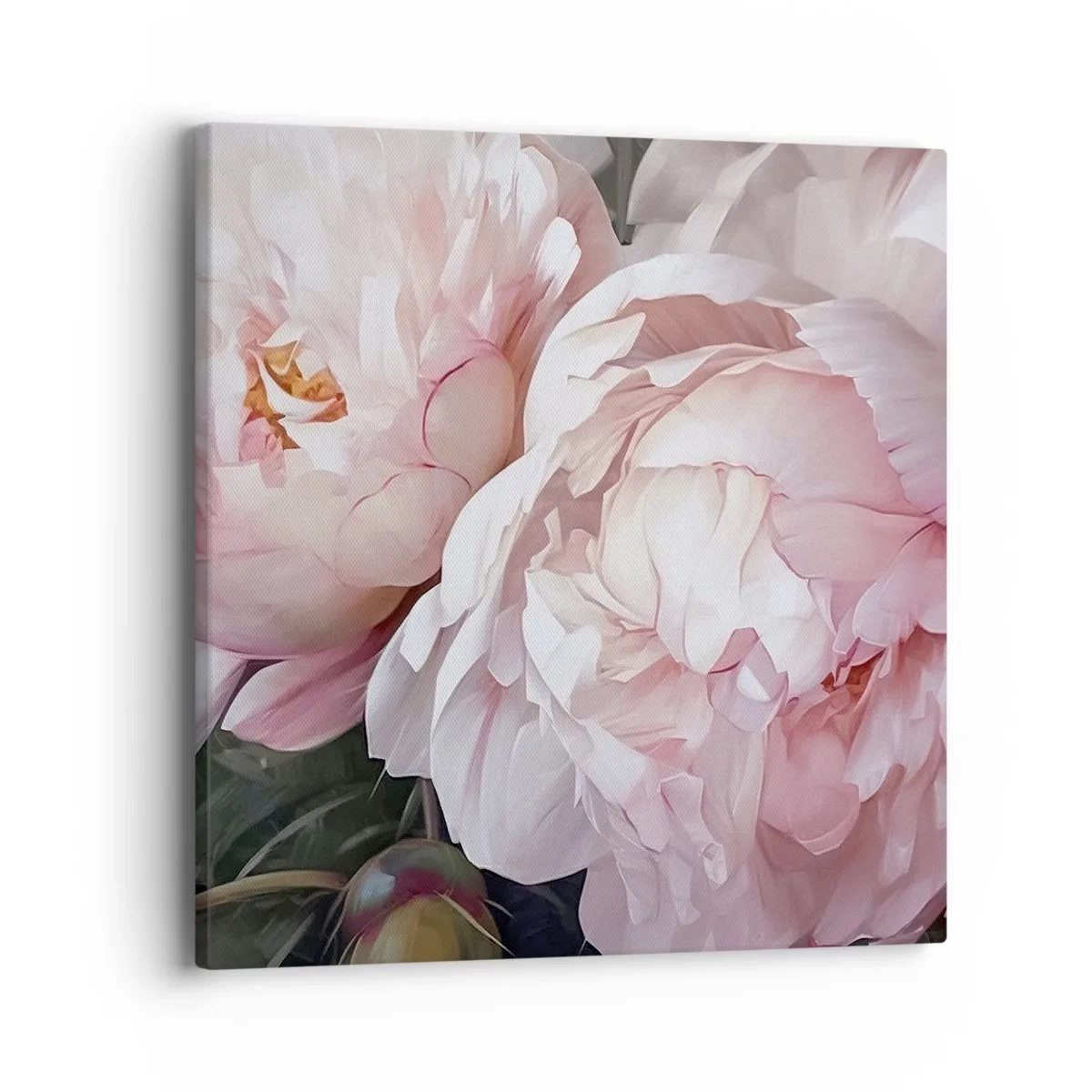 Obraz na plátně - Uchytnuté v rozkvětu - 40x40 cm