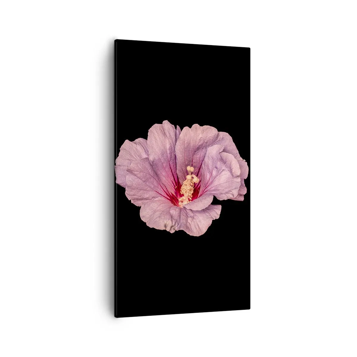 Obraz na plátně - Přímo do srdce - 55x100 cm