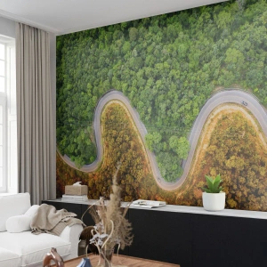 Fototapeta Premium Sand - Hranice a průlomy - Krajina, Cesta autem, Les - 100x70 cm