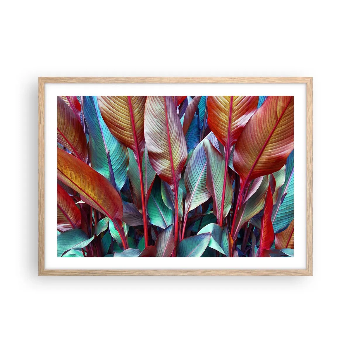 Plakát v rámu světlý dub - Barevná houština - 70x50 cm
