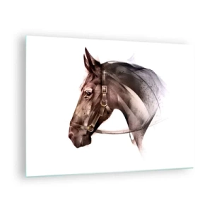 Obraz na skle - Portrét koně v uměleckém stylu na bílém pozadí - 70x50cm - To je ale půvab - Moderní nástěnná dekorace do obývacího pokoje a ložnice ARTTOR