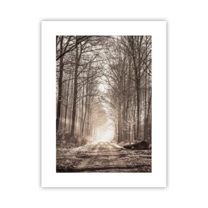 Plakát - Lesní katedrála - 30x40 cm