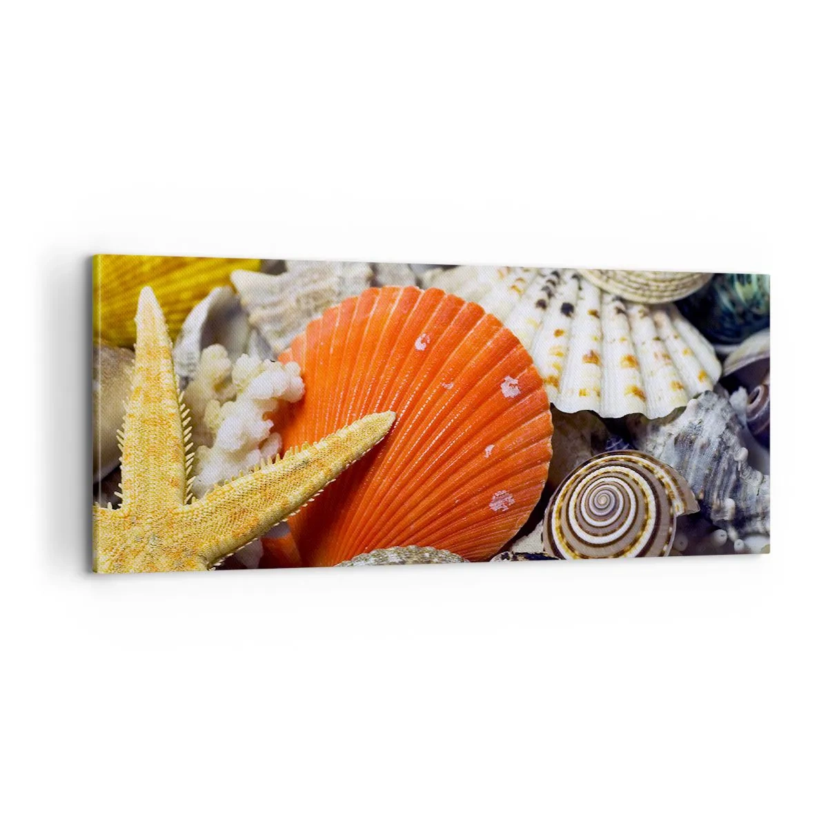 Obraz na plátně - Poklady oceánu - 100x40 cm