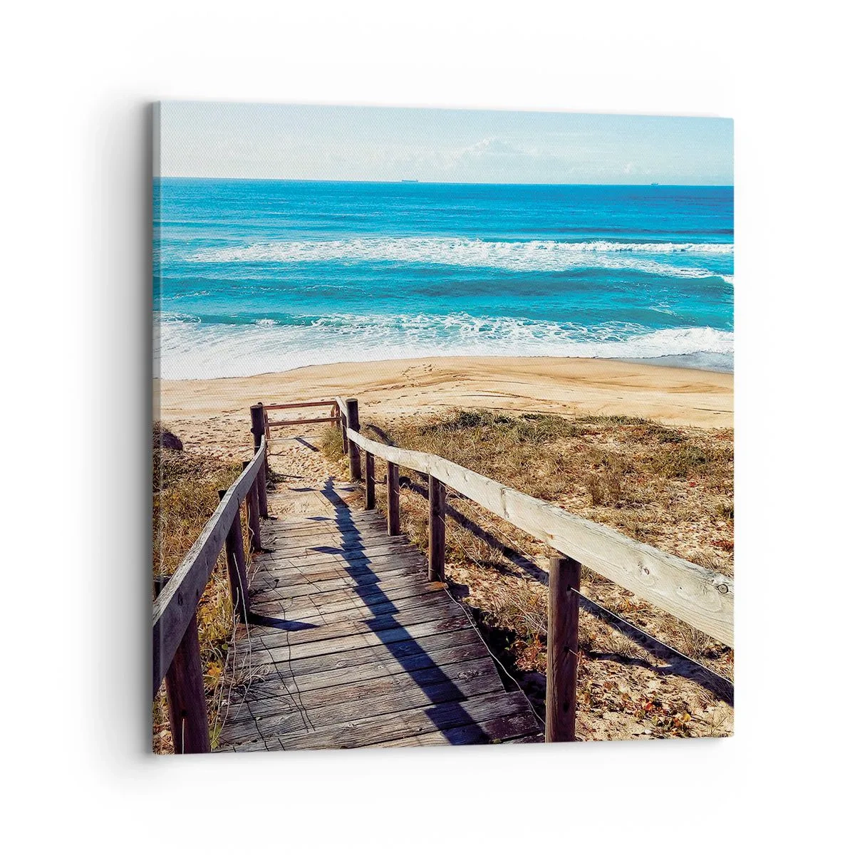 Obraz na plátně - Běž! - 70x70 cm