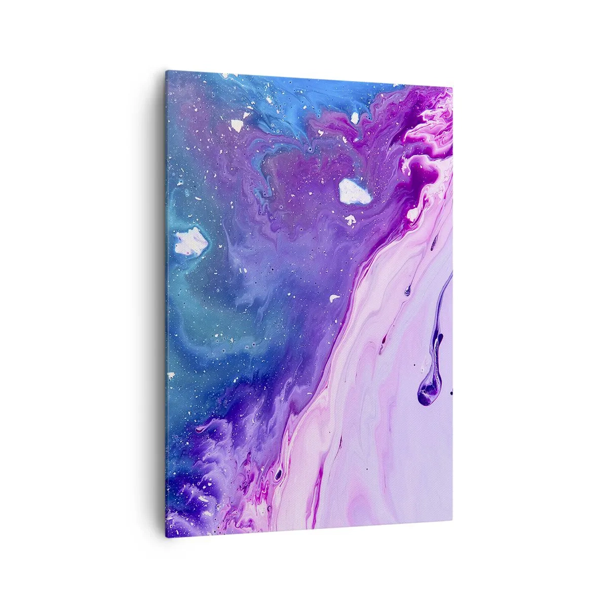 Obraz na plátně - Yin a yang - 70x100 cm