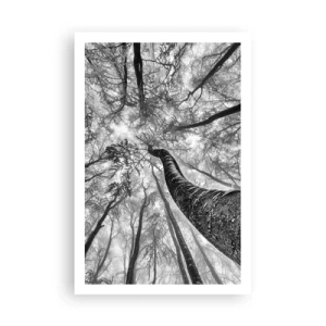 Plakát - Závod ke světlu - 61x91 cm