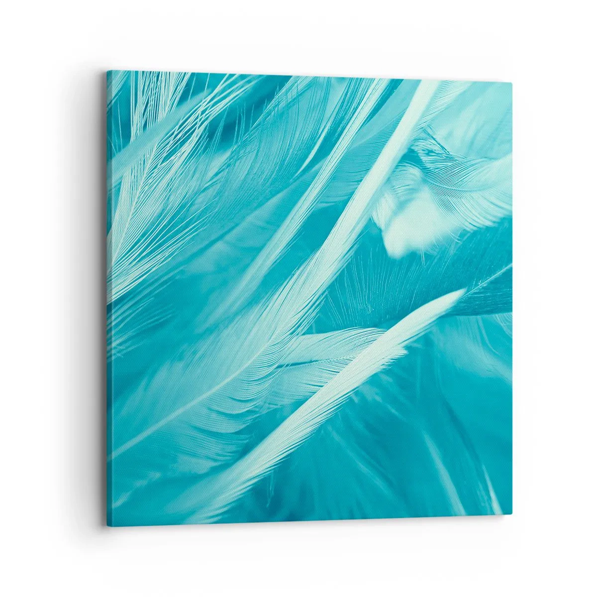 Obraz na plátně - Utonout v chmýří - 70x70 cm