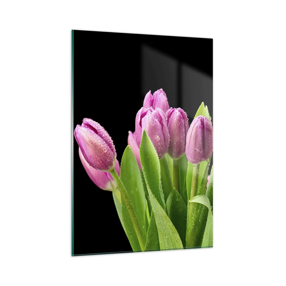 Obraz na skle - Liliové potěšení jara - 50x70 cm