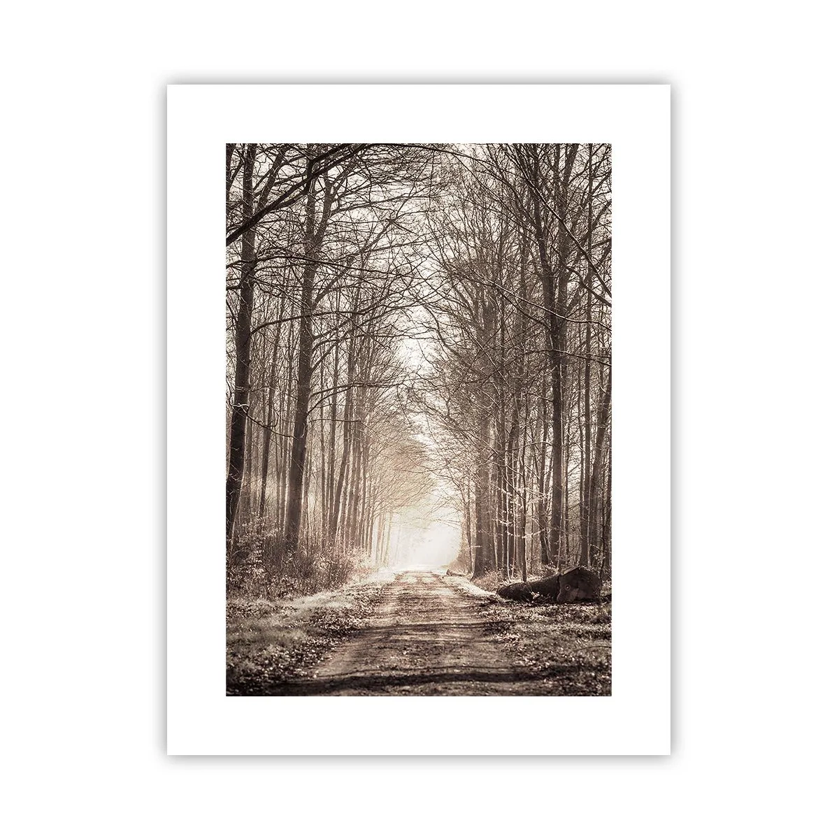 Plakát - Lesní katedrála - 30x40 cm