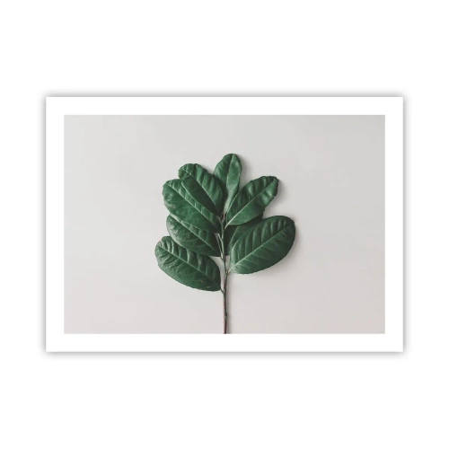 Plakát - Kresba samotné přírody - 70x50 cm