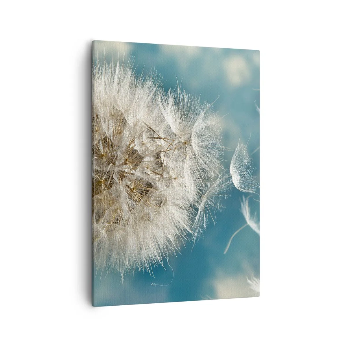 Obraz na plátně - Dech anděla - 50x70 cm