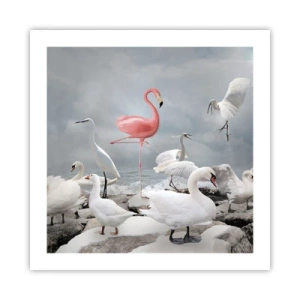 Plakát - Kde jsem se tu vzal? - 50x50 cm