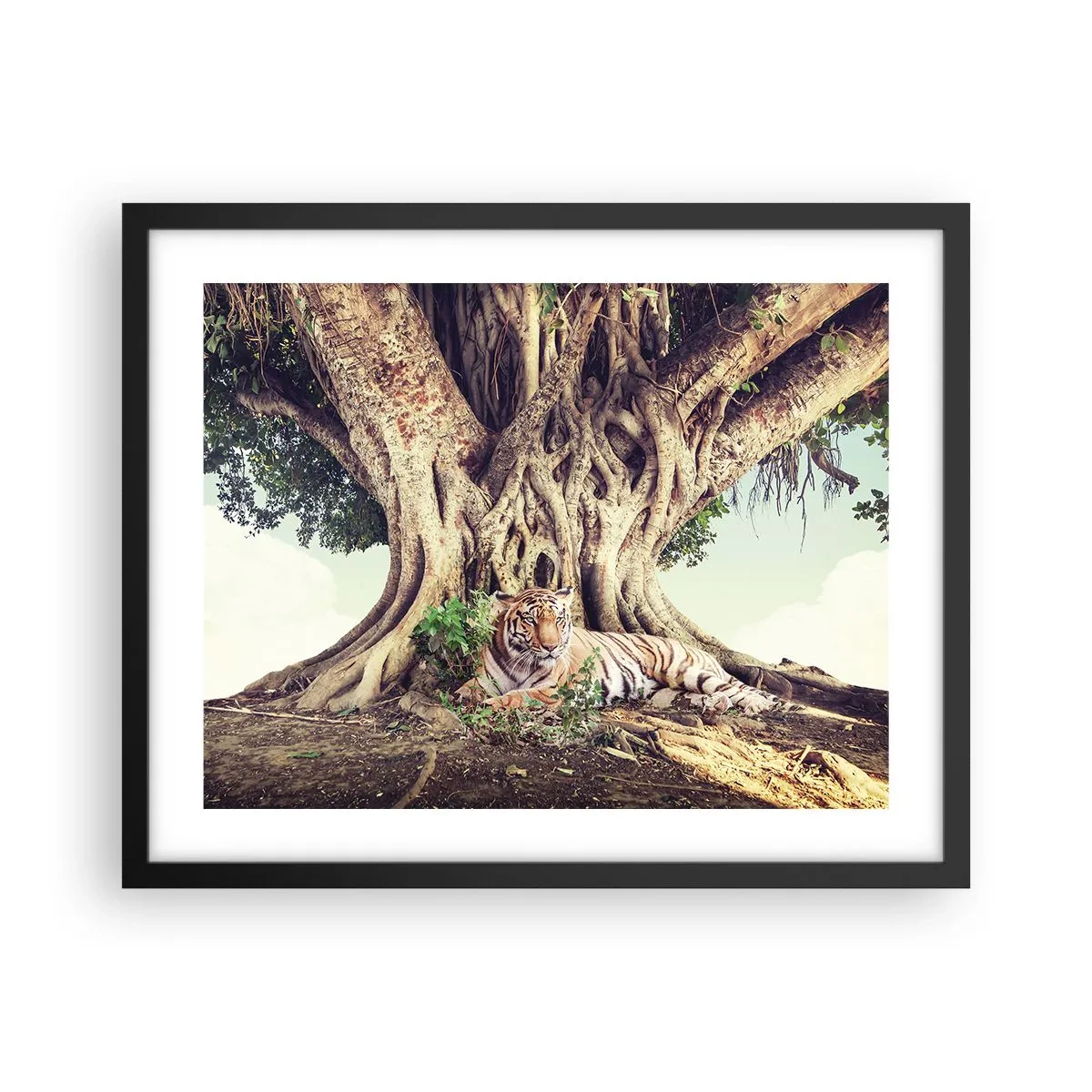 Plakát v černém rámu - Pohled z knihy Mojžíšovy - 50x40 cm