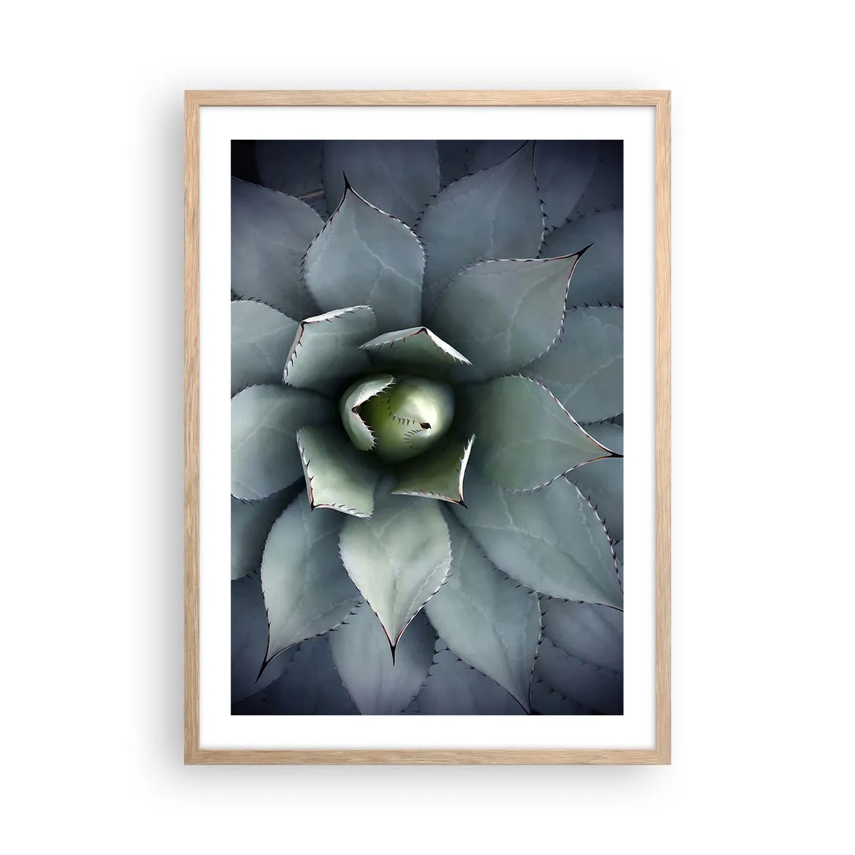 Plakát v rámu světlý dub - Svádí a varuje - 50x70 cm