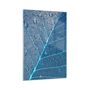 Obraz na skle - Život v modři - 70x100 cm