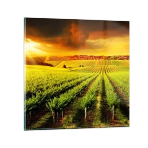 Obraz na skle - Pod australským sluncem - 70x70 cm