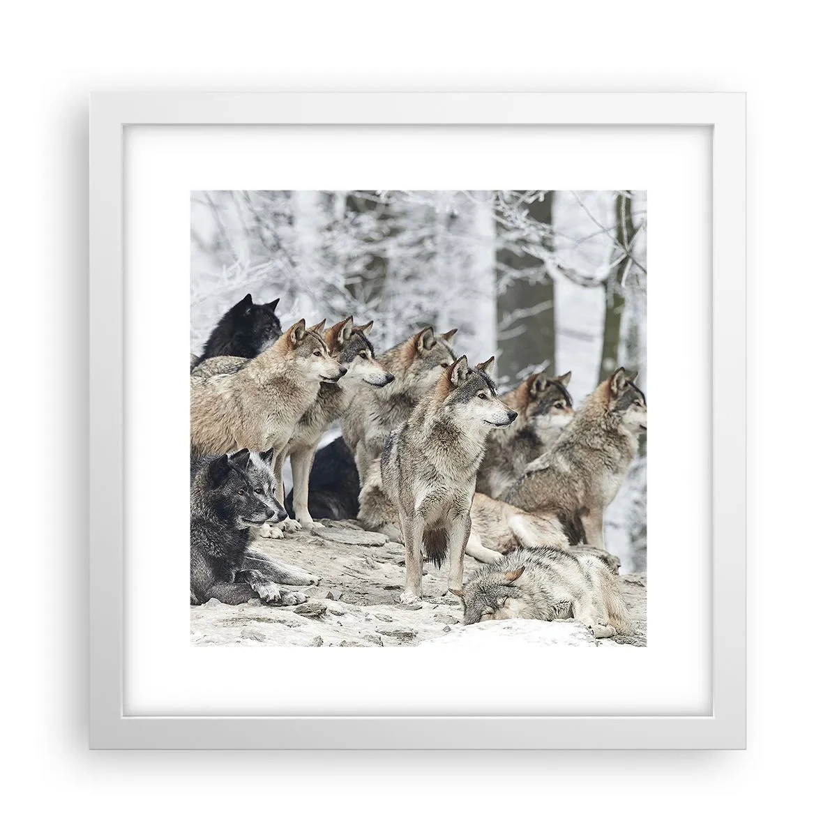 Plakát v bílém rámu - Rodina a přátelé - 30x30 cm