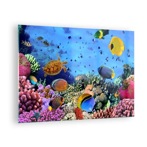 Obraz na skle - Barevné ryby a mořská želva na pozadí korálového útesu - 70x50cm - Co víme o životě… - Moderní nástěnná dekorace do obývacího pokoje a ložnice ARTTOR
