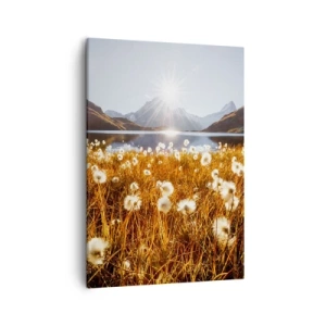 Obraz na plátně - Tvrdost skal, měkkost trav - 50x70 cm