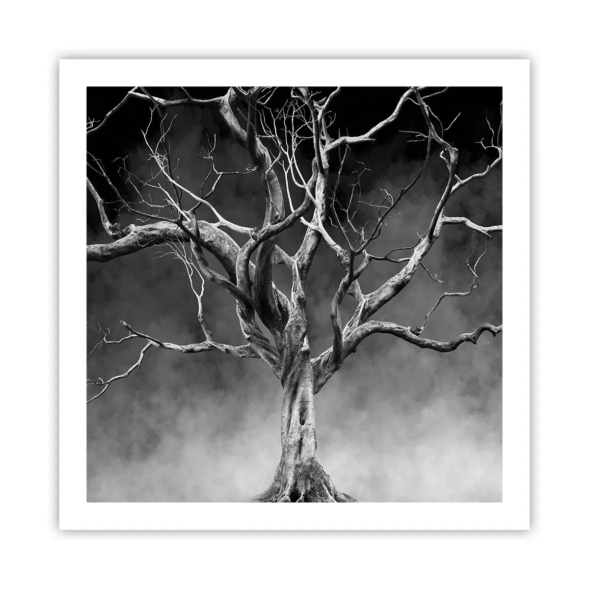 Plakát - Původní a svaté - 60x60 cm