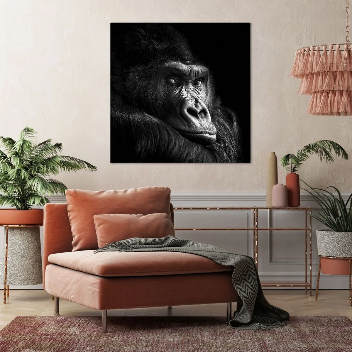 Obraz na plátně - Na co tak koukáš? - 60x60 cm