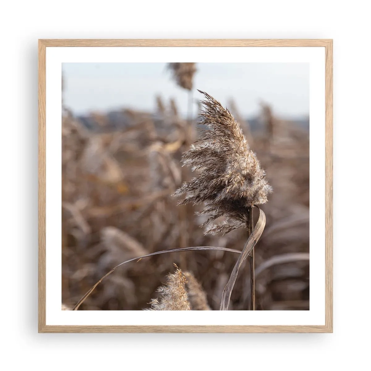 Plakát v rámu světlý dub - Čas odletět s větrem - 60x60 cm