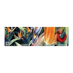 Vzor Fototapety Samolepicí Deluxe Sticker - Plamenné květy tropů - Královská Strelitzia, Květ, Afrika - 100x30 cm