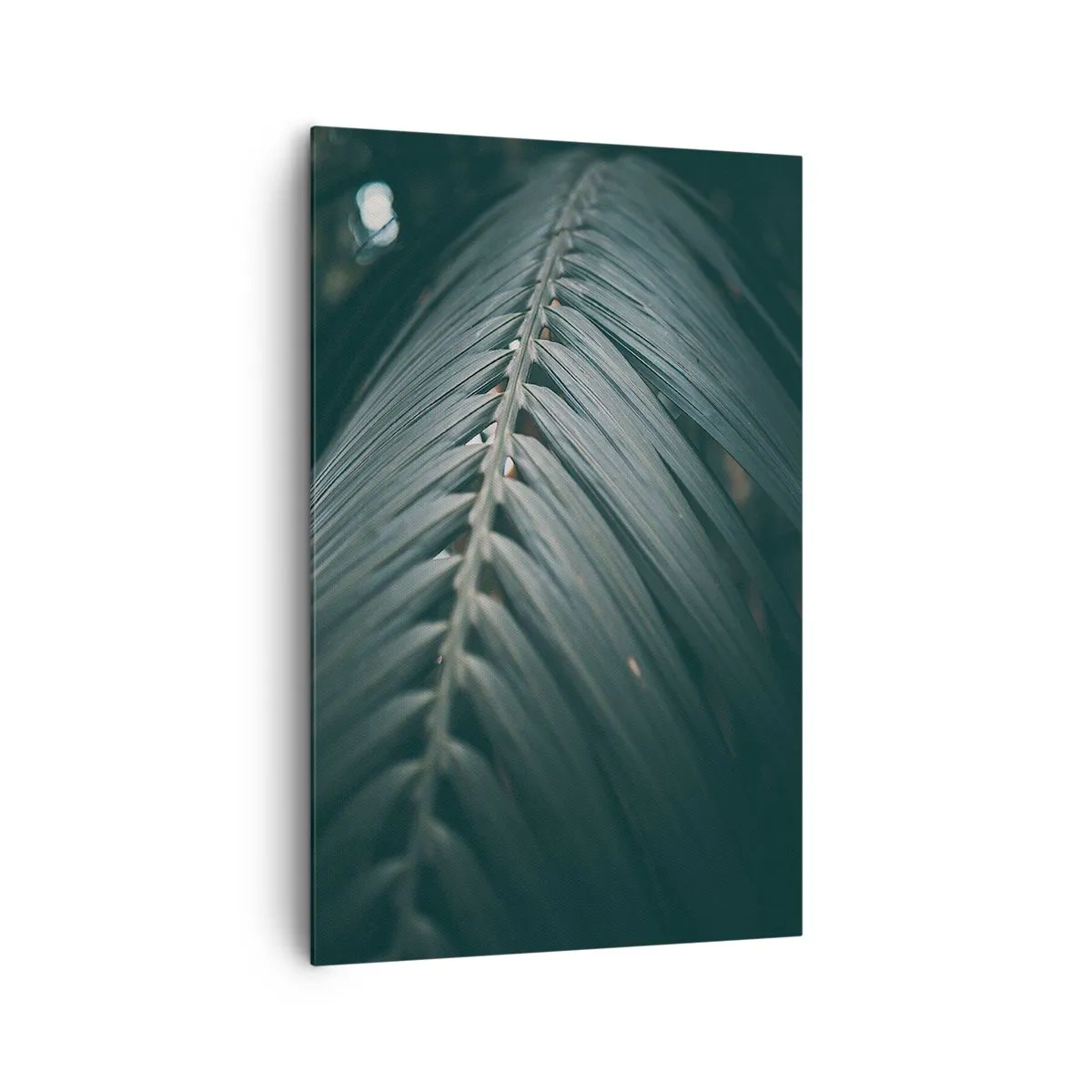 Obraz na plátně - Přesnost přírody - 80x120 cm