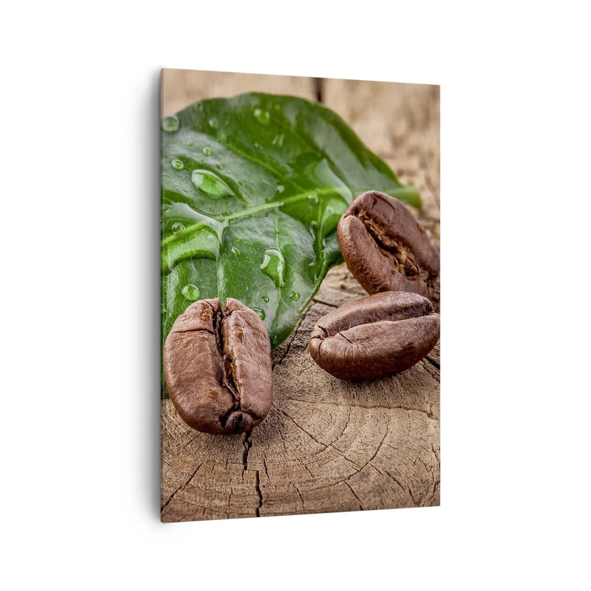 Obraz na plátně - Nejskutečnější a černá - 70x100 cm