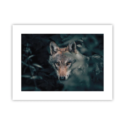 Plakát - Predátor - 40x30 cm