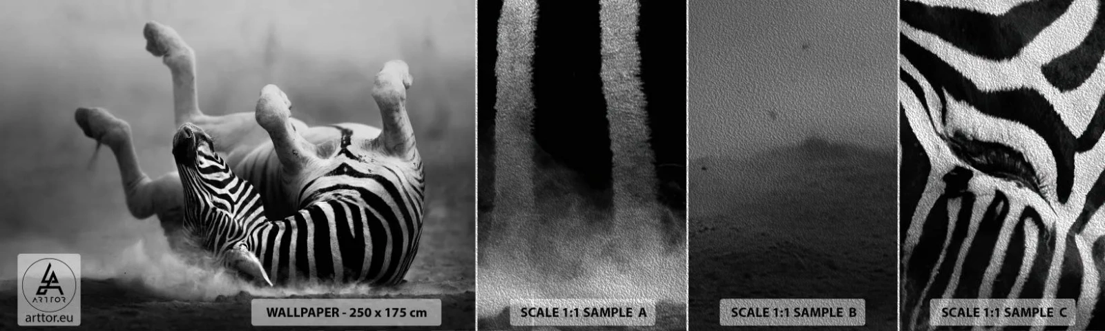 Vzor Fototapety Premium Sand - Je to k popukání - Zvířata, Žebra, Příroda - 100x30 cm