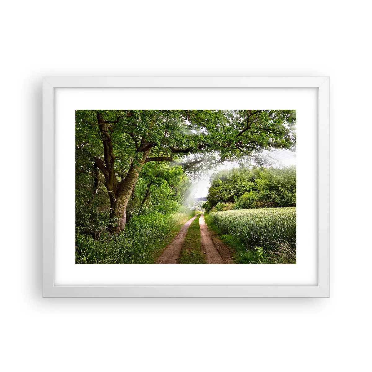 Plakát v bílém rámu - Et in Arcadia ego - 40x30 cm