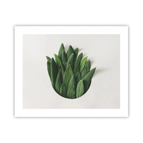 Plakát - Neukojitelná zvědavost - 50x40 cm