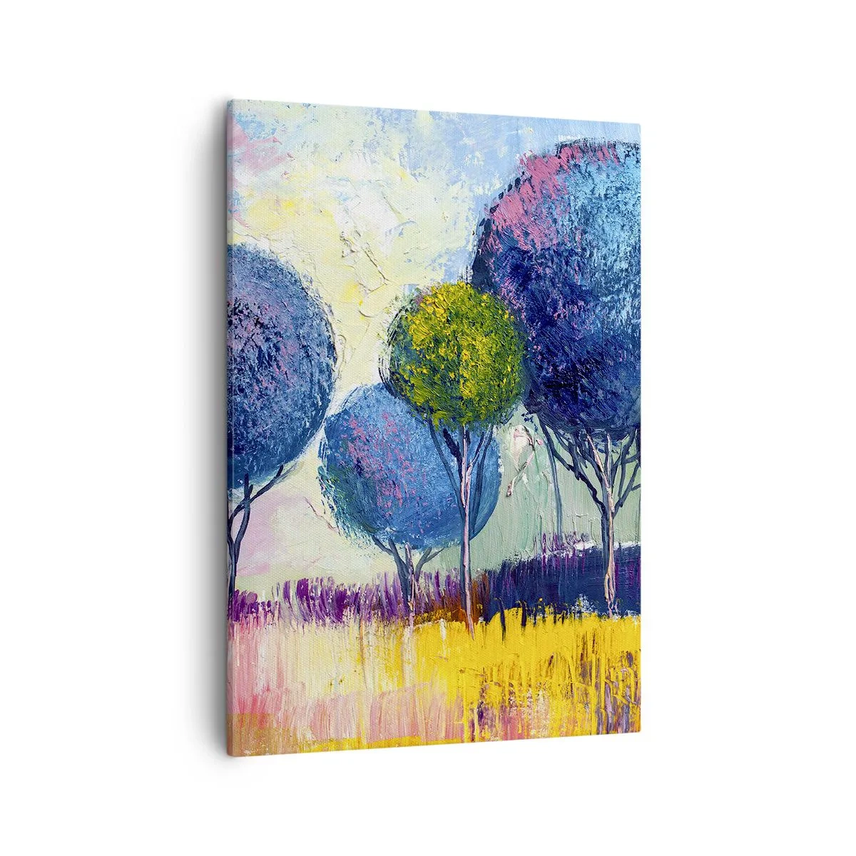 Obraz na plátně - Koule - tvar ideálu - 50x70 cm
