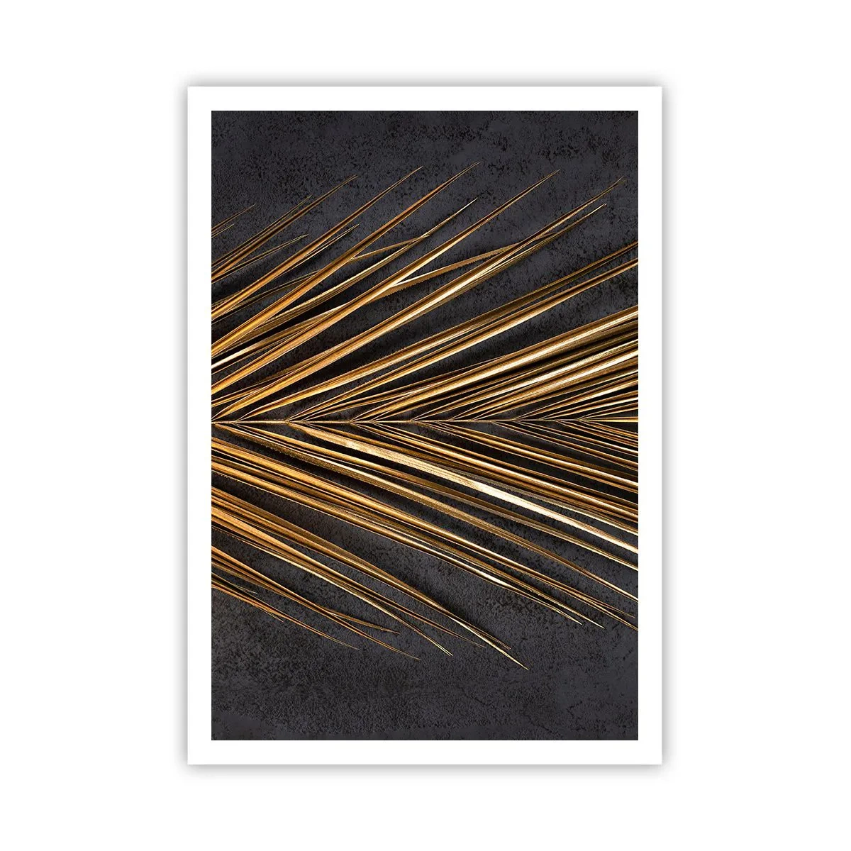 Plakát - Zlato tropů - 70x100 cm