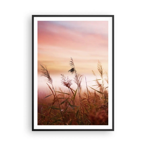 Plakát v černém rámu - Draci, pampelišky a vítr - 70x100 cm