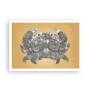 Plakát - Příběhy pana Kraba - 100x70 cm