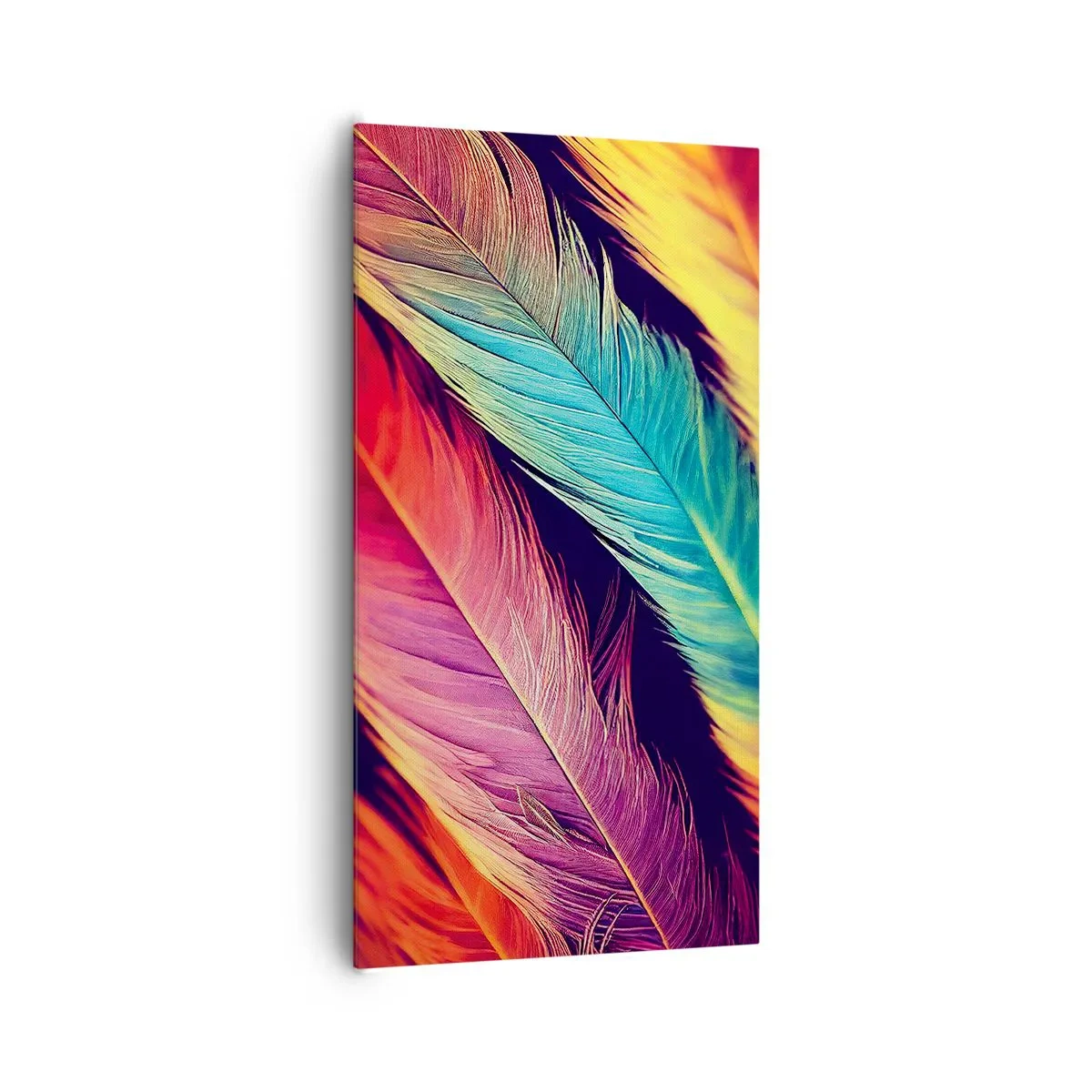 Obraz na plátně - Opeřená duha - 65x120 cm