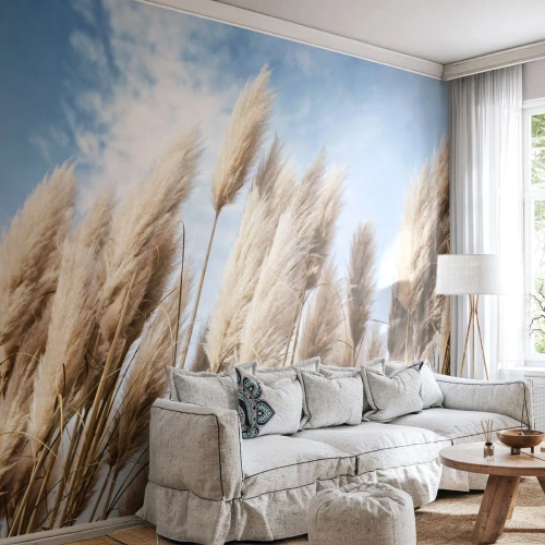Fototapeta na míru Premium Sand - Slunečné a větrné pohlazení - Pampasová tráva, Příroda, Boho