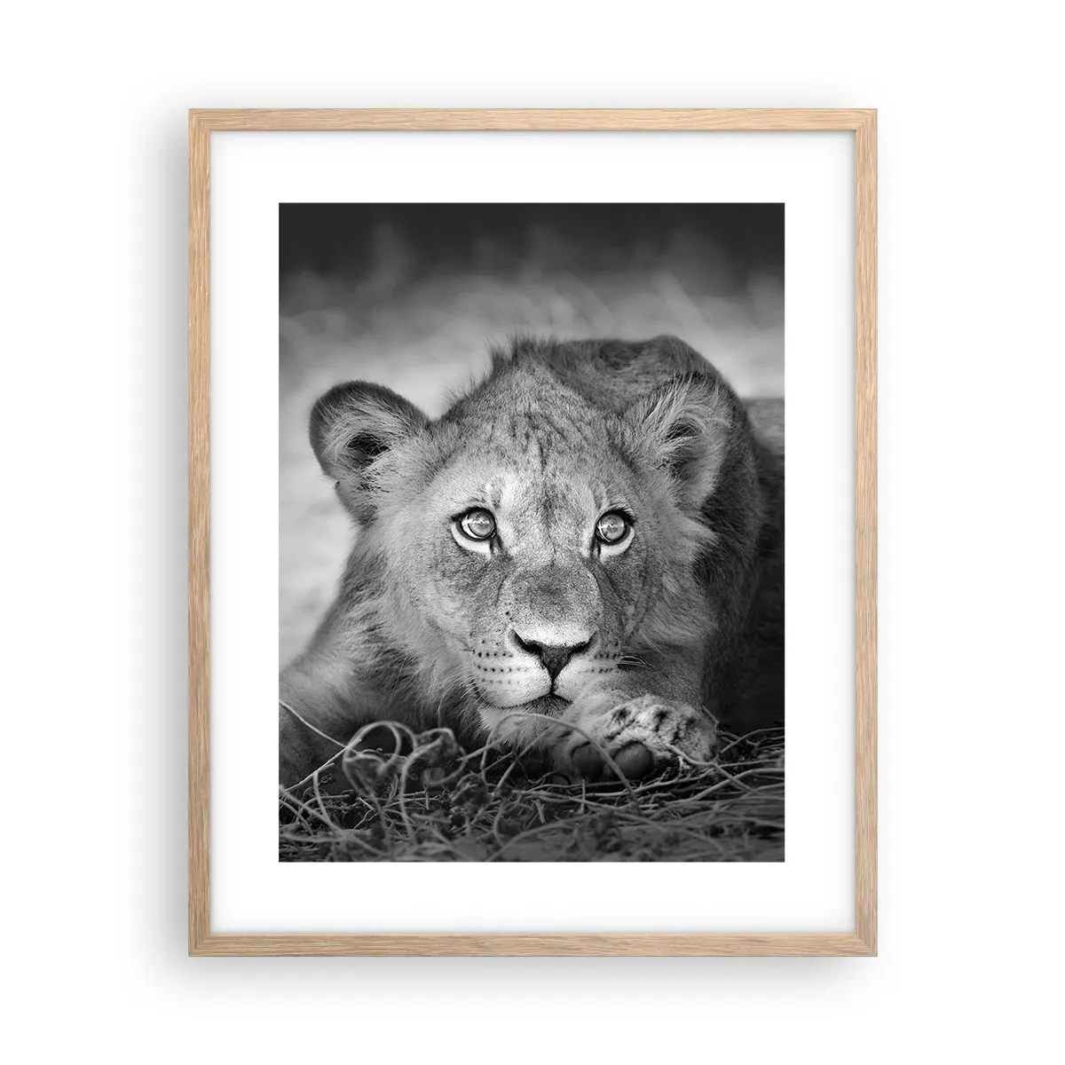 Plakát v rámu světlý dub - Královské štěně - 40x50 cm