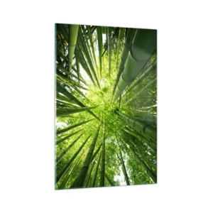 Obraz na skle - V bambusovém háji - 70x100 cm