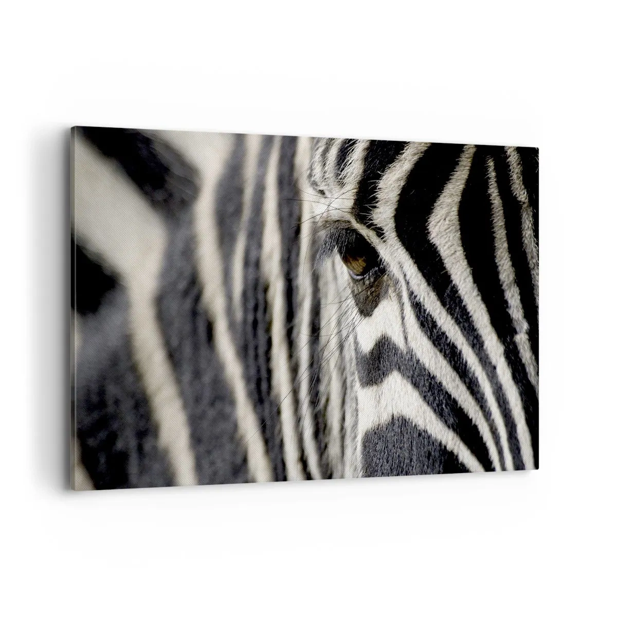 Obraz na plátně - Portrét s pruhy - 120x80 cm